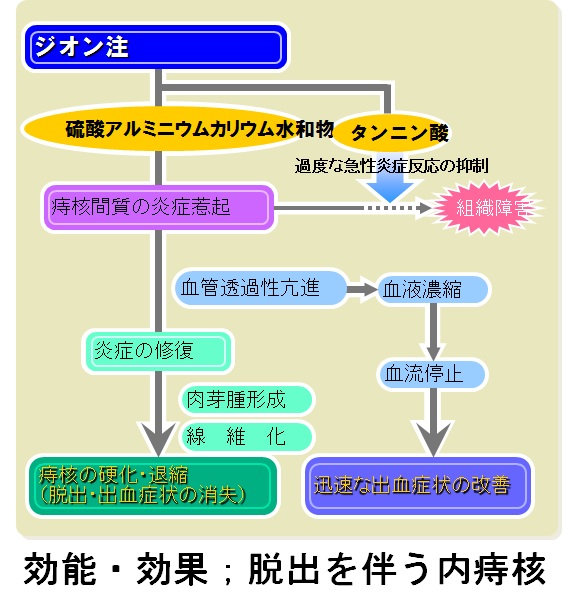 ジオン式
